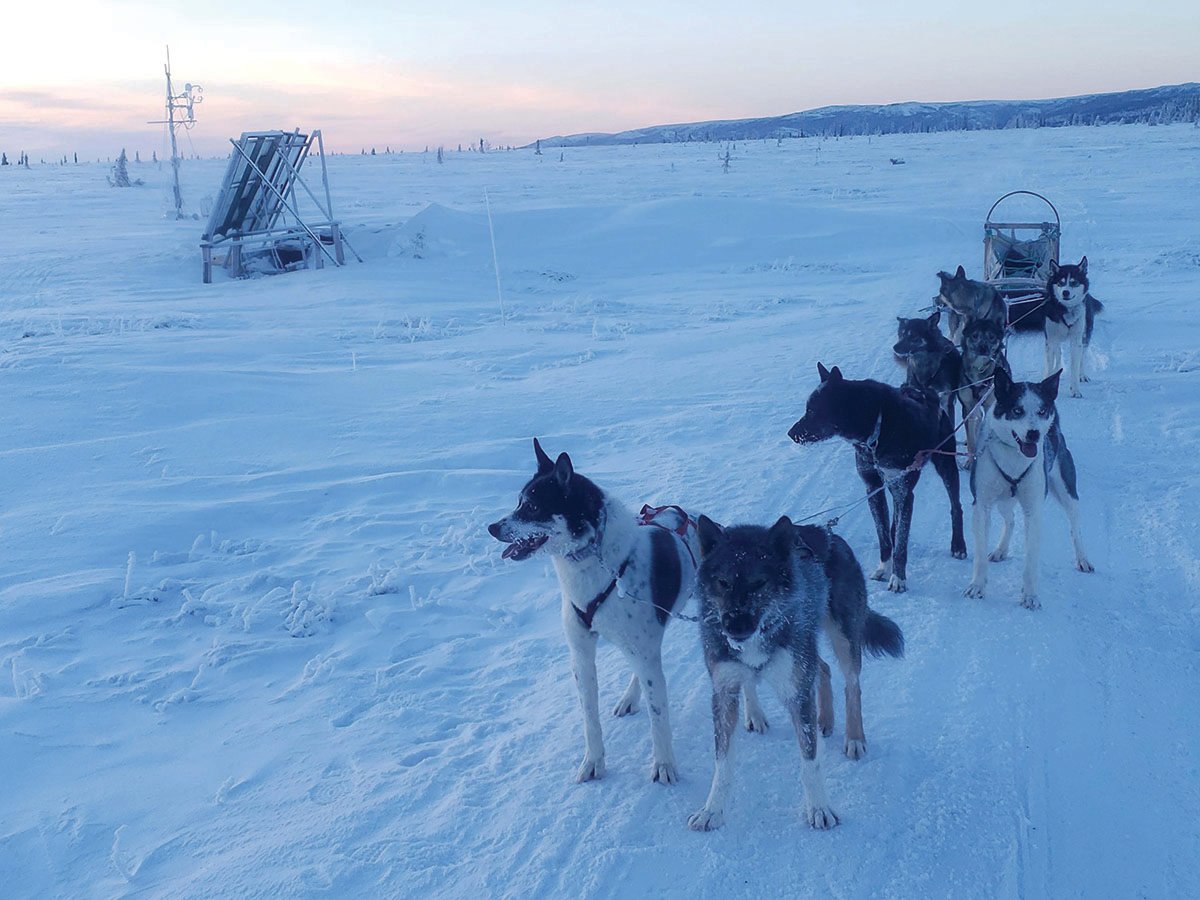 In the winter, the tower is accessed by dogsled.
